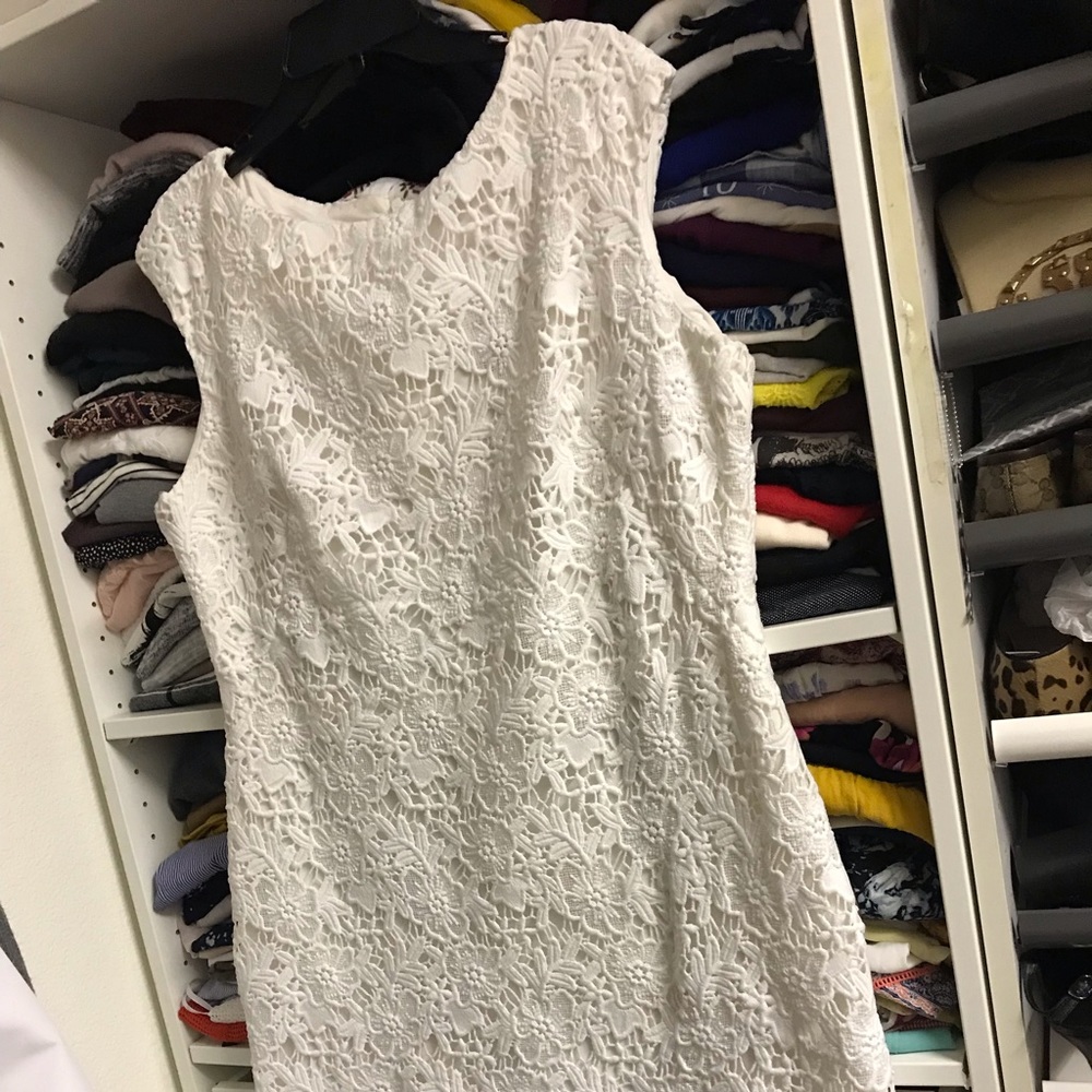 Ralph Lauren Lace dresses - Cream and Navy NWT